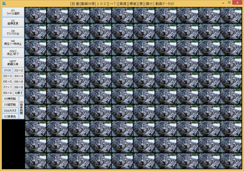 movi100�w���v�摜3