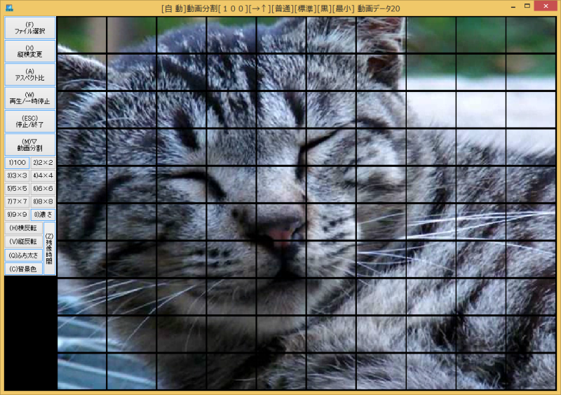 movi100�w���v�摜4