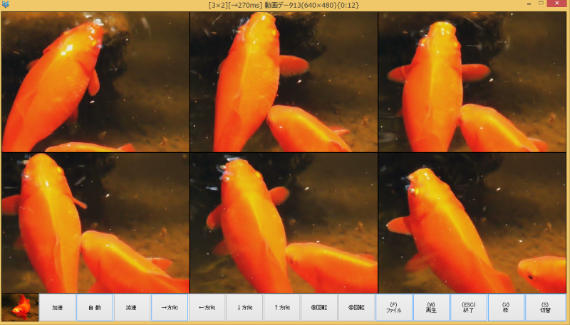 movieff�w���v�摜6