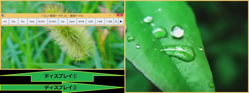 movimul�w���v�摜4Play